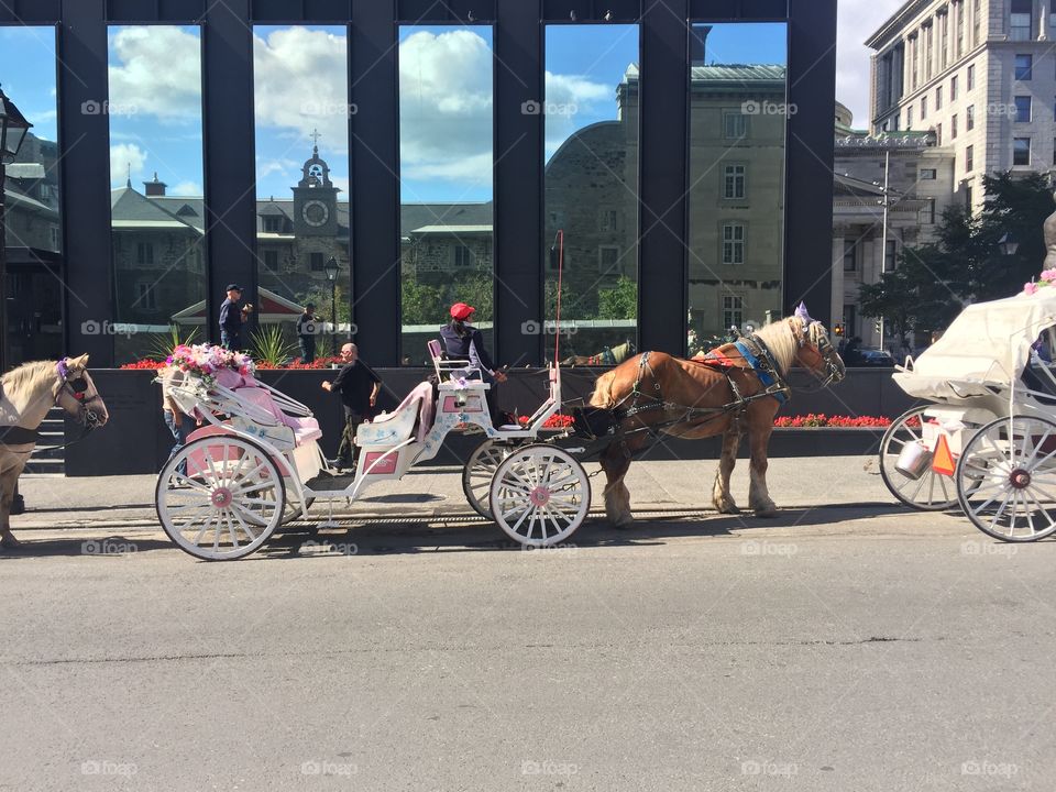Horse Carriage in Old Montreal 