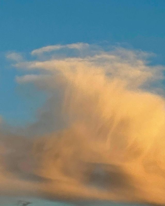 Looking up