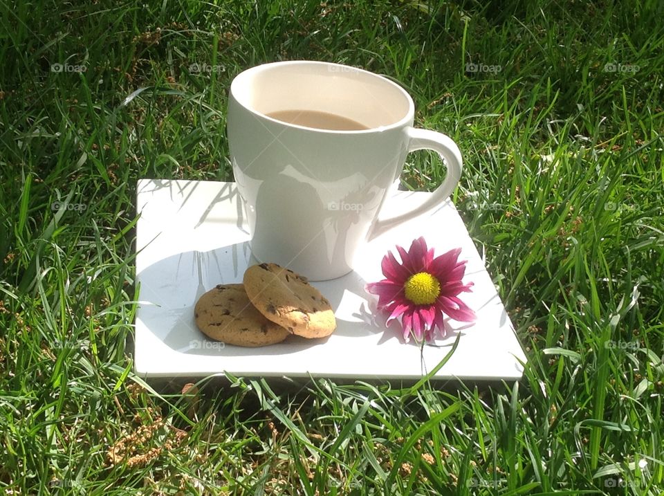 Enjoying a cup of coffee outdoors on a beautiful spring day.