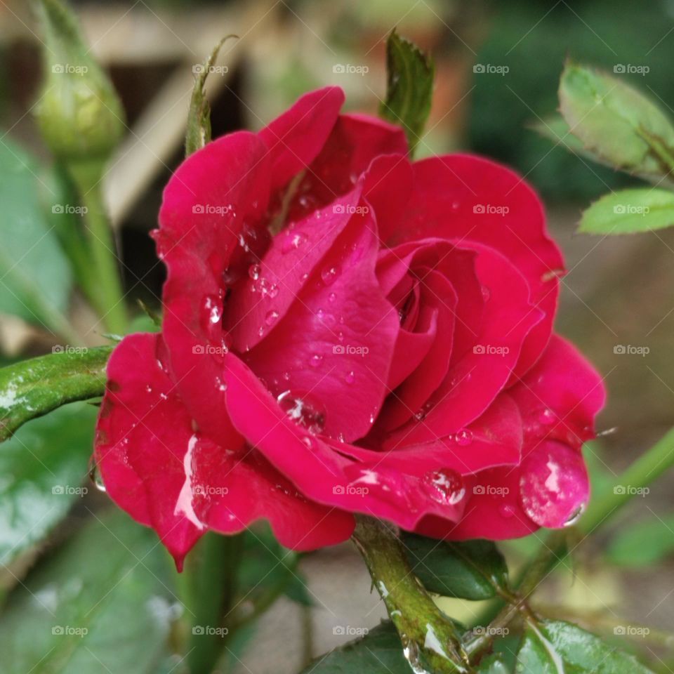 Capture of power colour