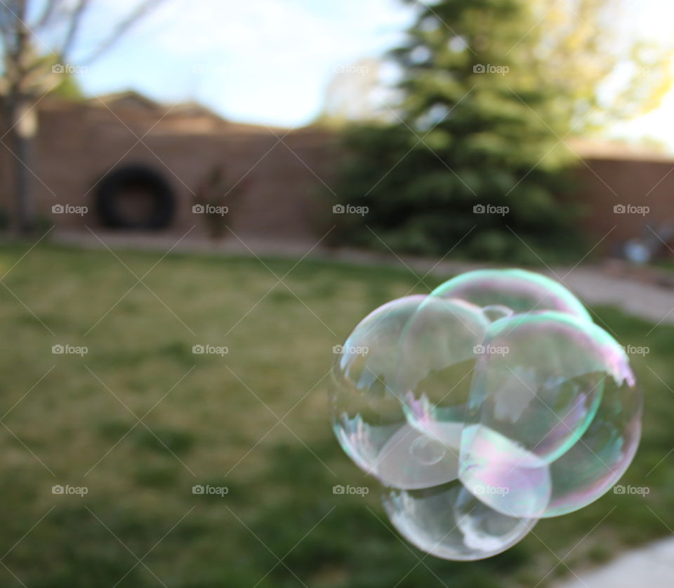 Bubble in the back yard