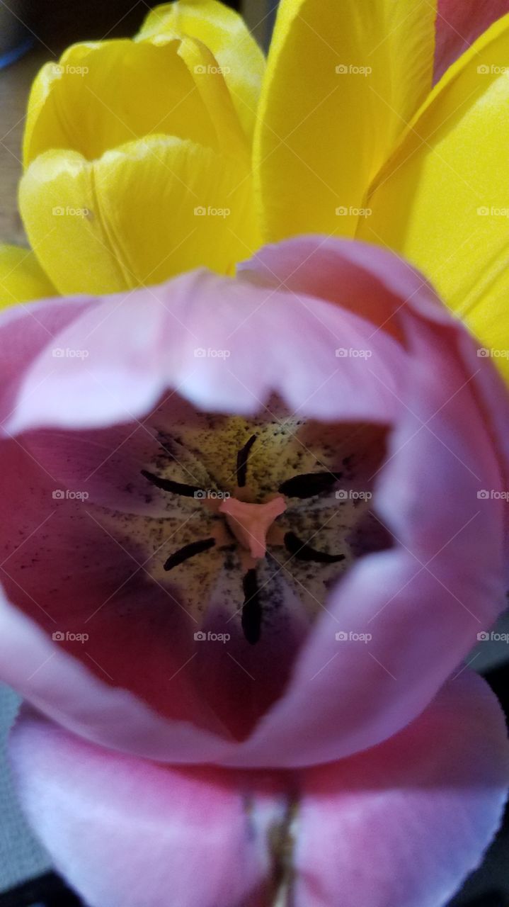 Flowers for Mother's day