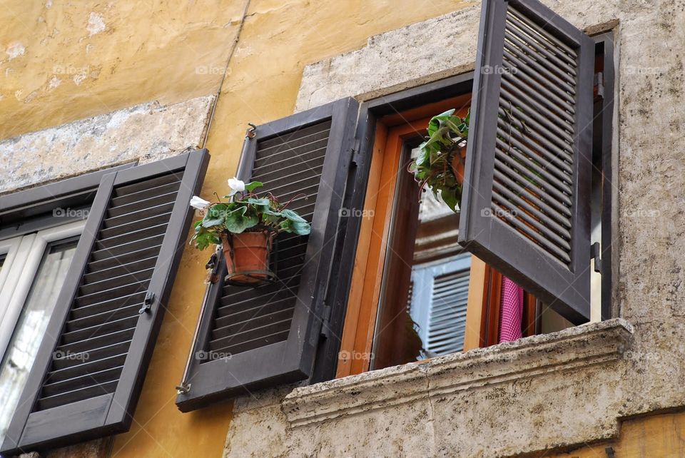 Shutters and flowerpots. Window shutters partway open decorated with flowerpots