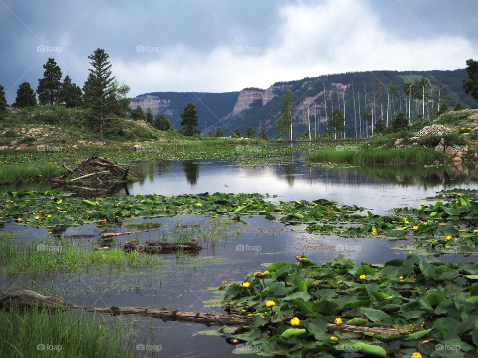 Pond and mountain landscape