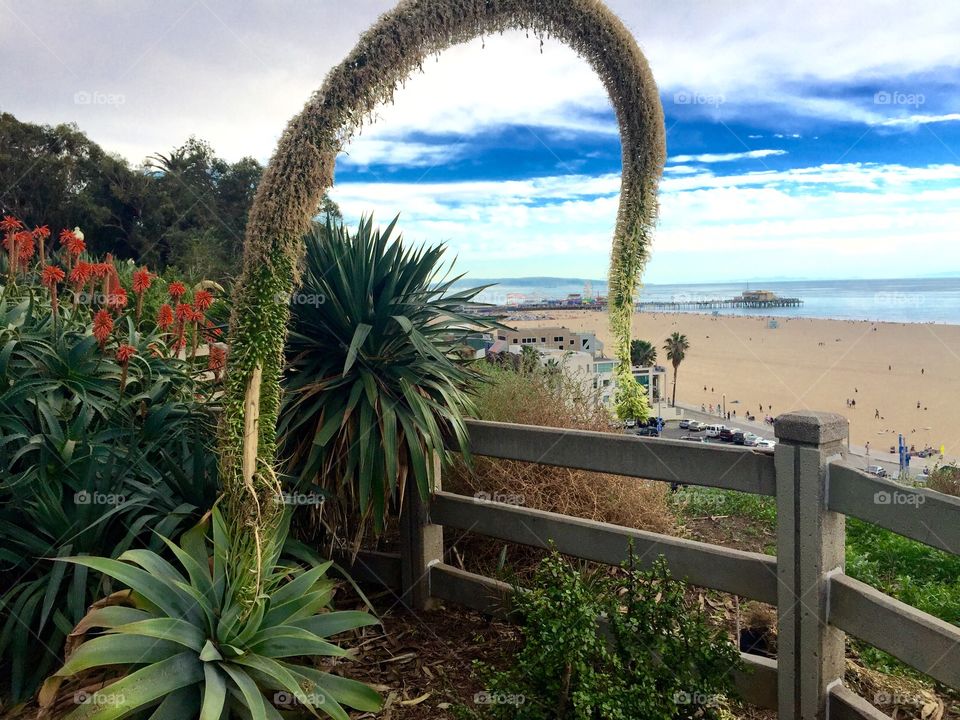 Los Angeles beach . Santa Monica