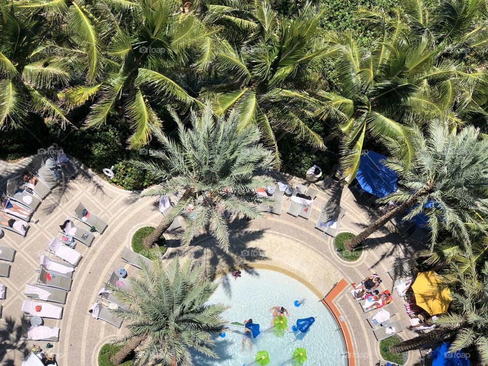 Resort pool seen from above, West Palm Beach, Florida, USA 