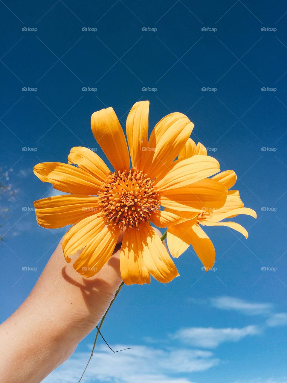 In a world is full of joy, why am I so sad?