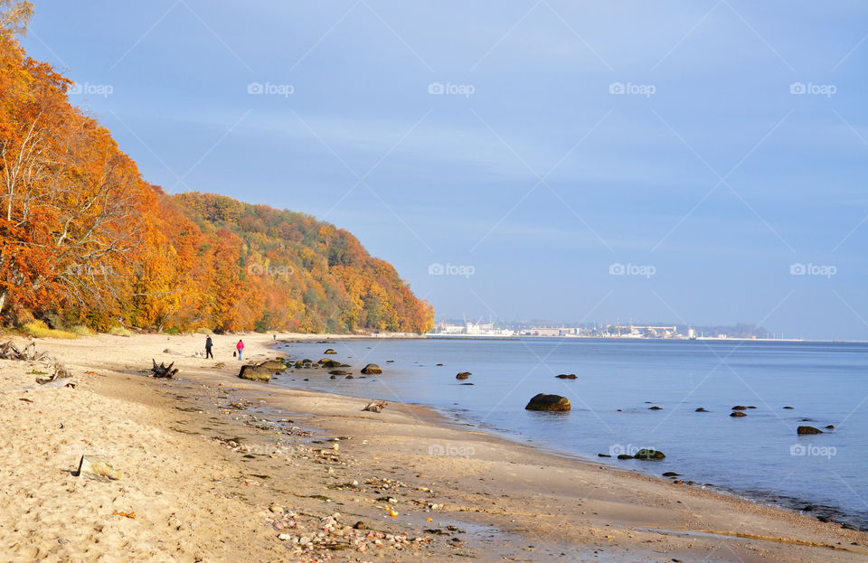 Autumn beach 