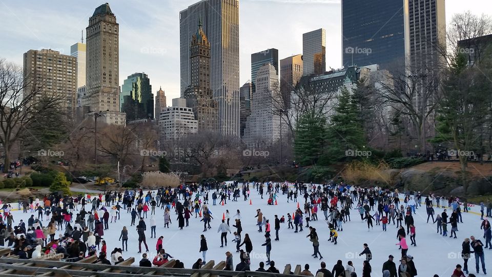 Central Park: ice skating