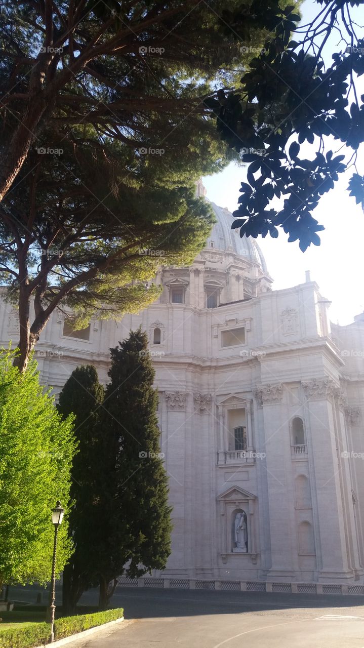 morning in Vatican