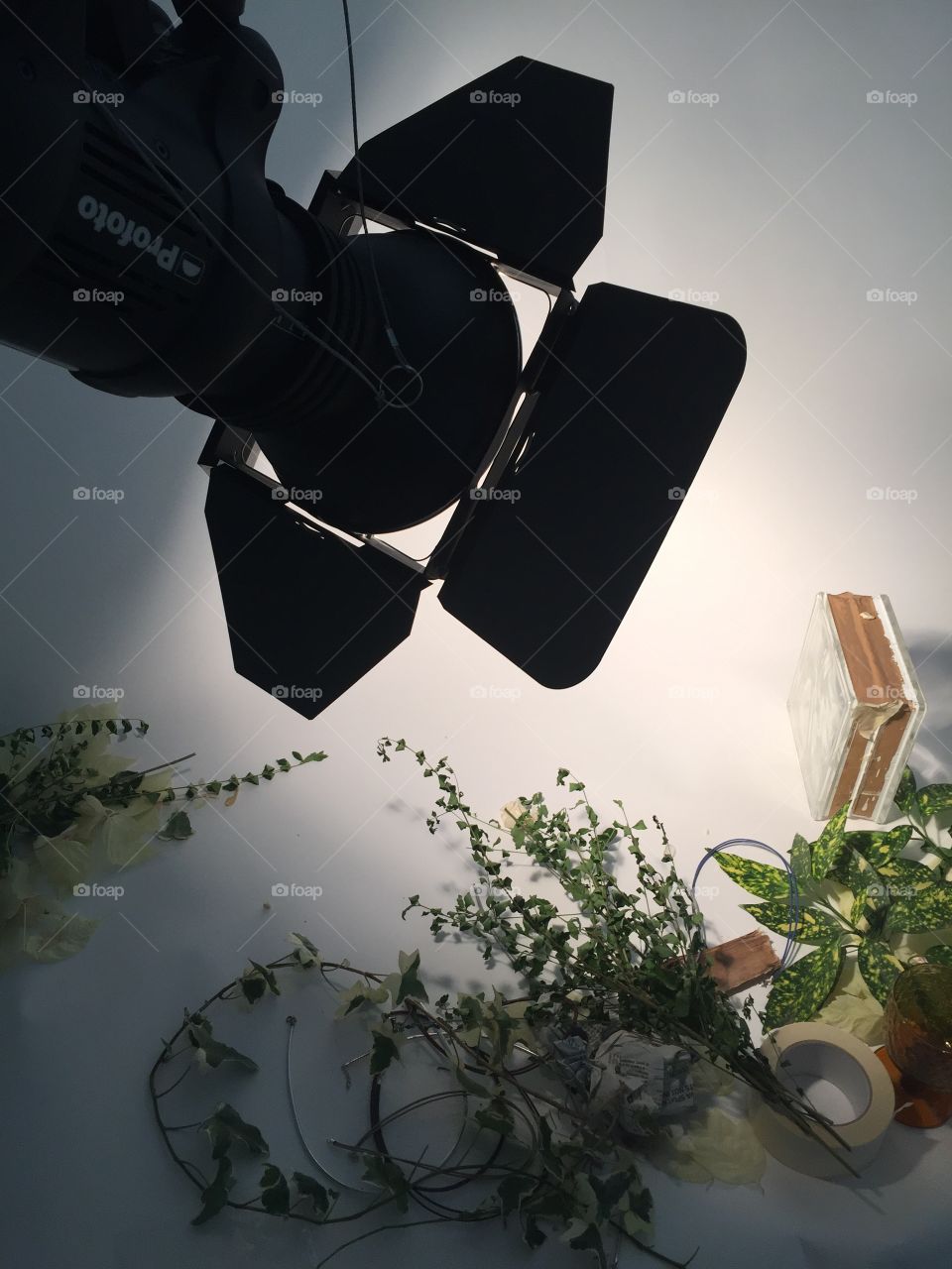 Photographic set with light and leaves 