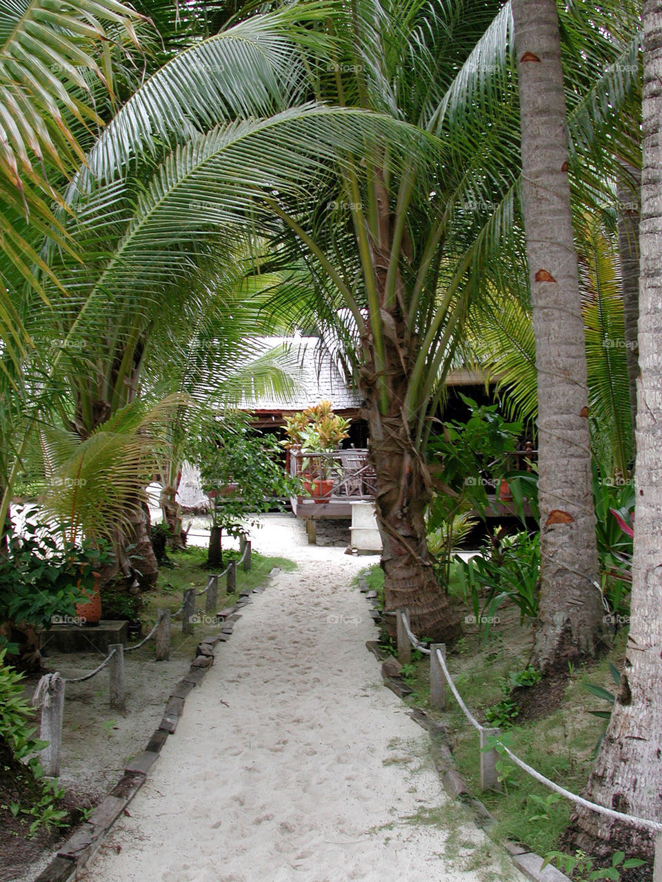 beach walk malaysia mabul by seeker