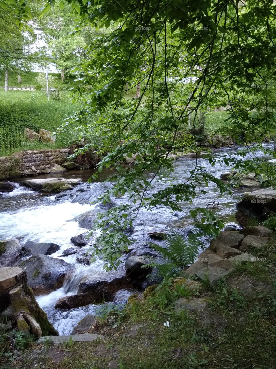 Kurpark in Bad Wildbad