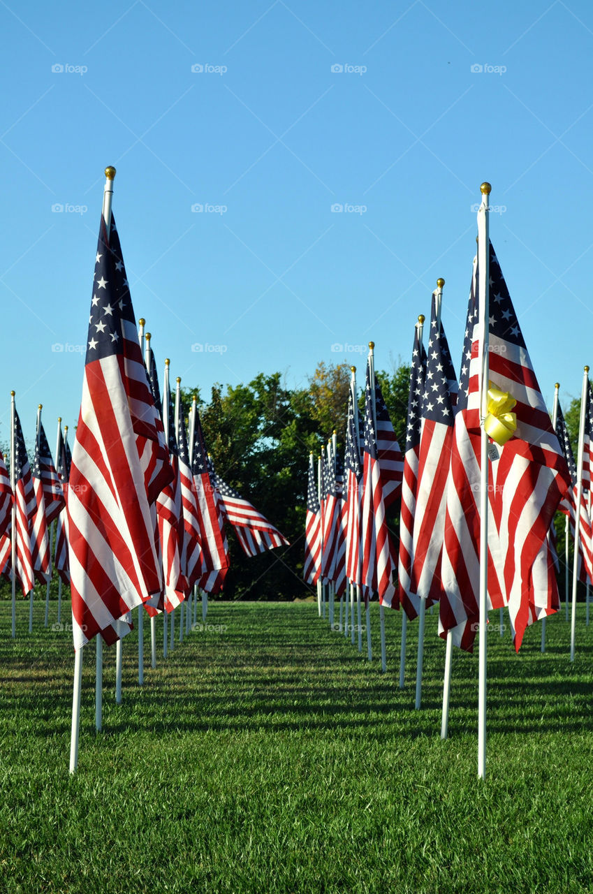 Flags