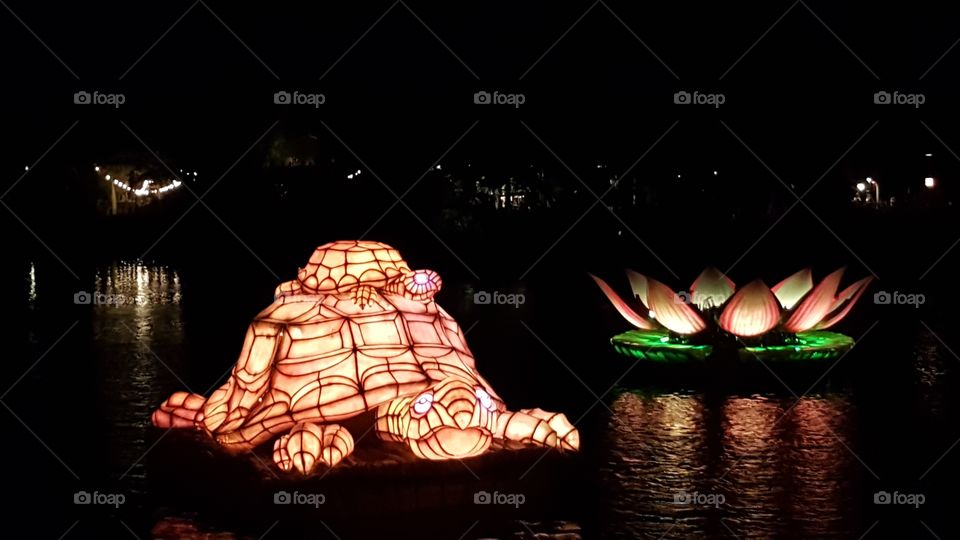 A turtle family makes their way through Discovery River during Rivers of Light at Animal Kingdom at the Walt Disney World Resort in Orlando, Florida.