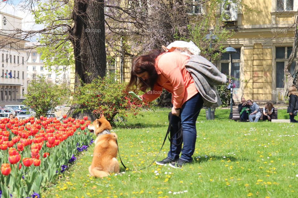 Taking a photo of the dog