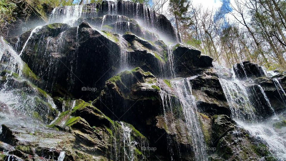 Majestic Yellow Branch falls, South Carolina
