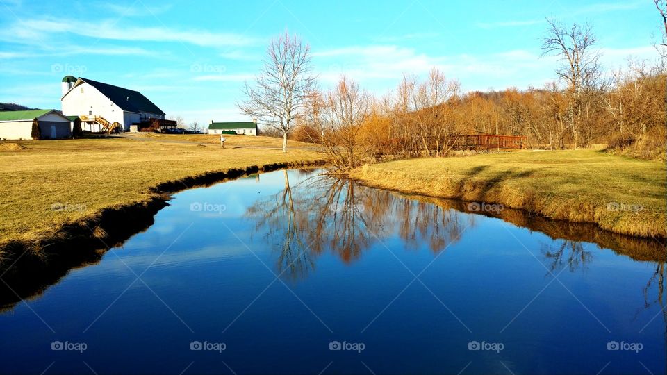Reflection on the Creek - Poor House Farm Park