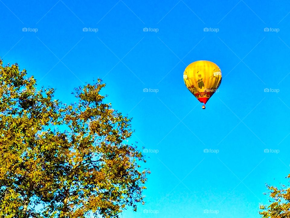 Looking Up at Hot Air Balloon . Yellow balloon in flight 
