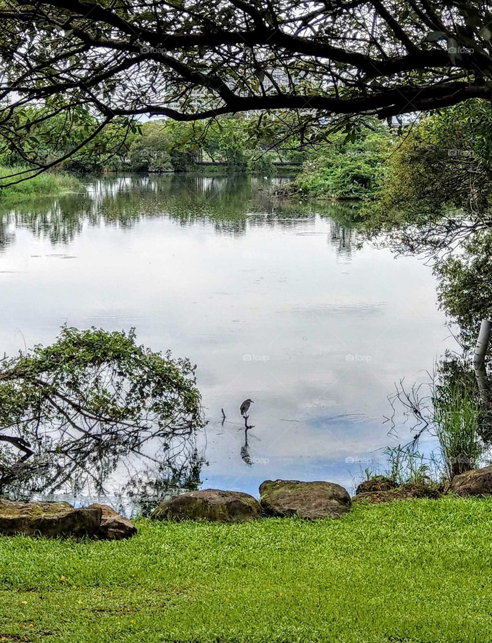 Luodong Forestry Culture Park, Luodong, Yilan,Taiwan.