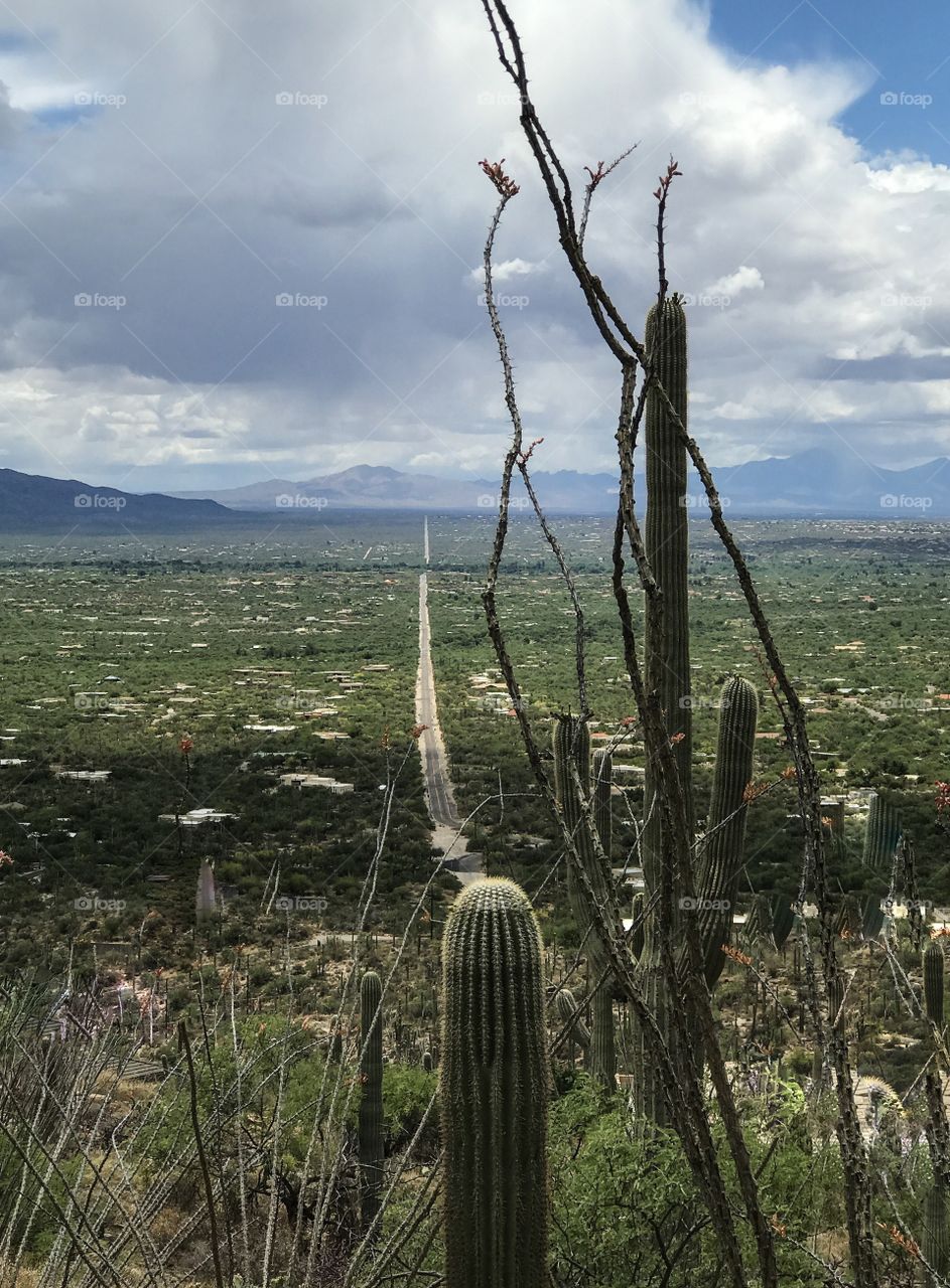 Nature - Hiking Adventures 