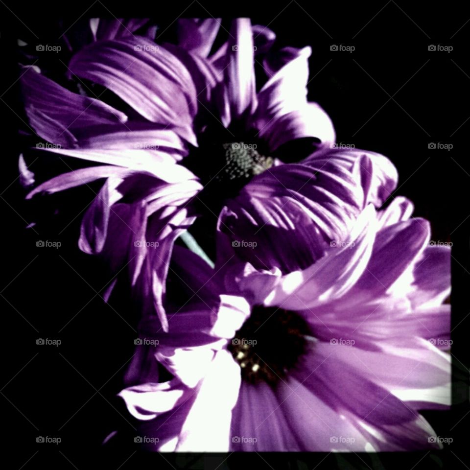 dreams.... experiments with lighting