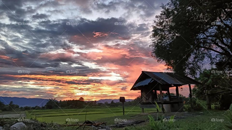 Photos of evening atmosphere, light and shadow from nature.