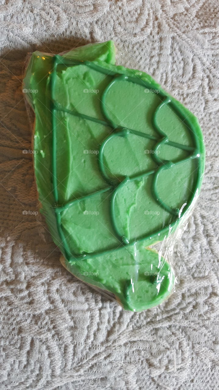 turtle cookie