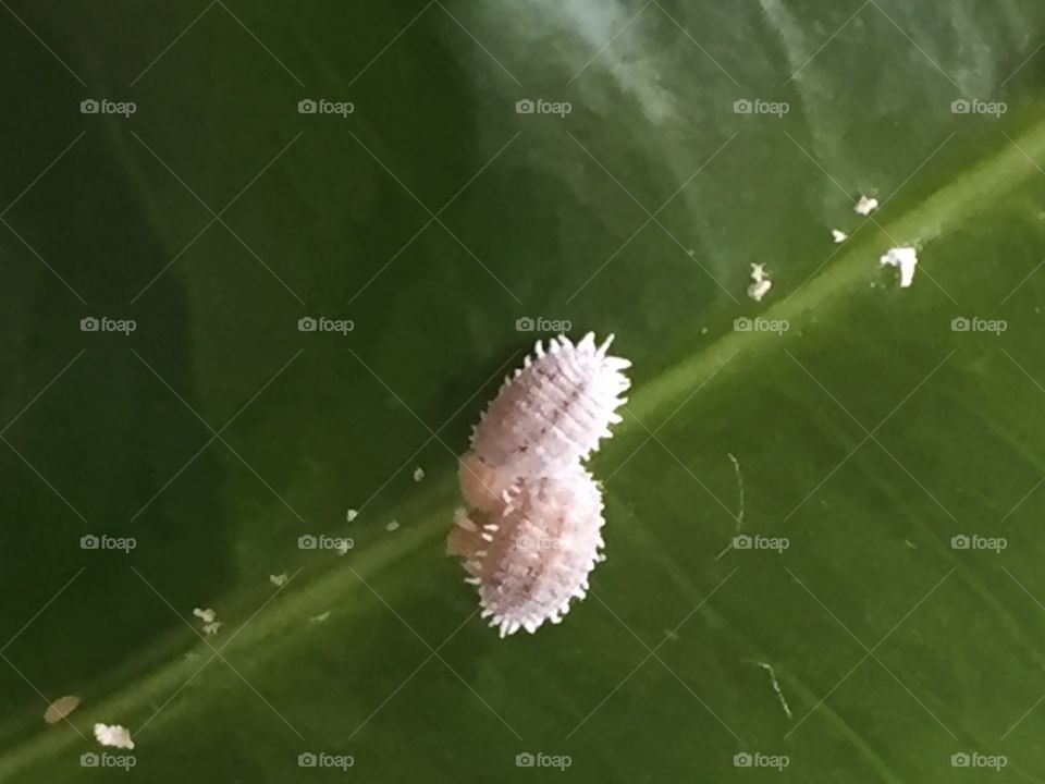 everything have teir place and their life