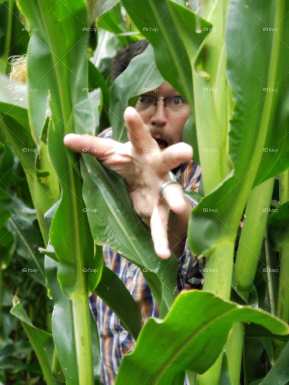 person of the corn