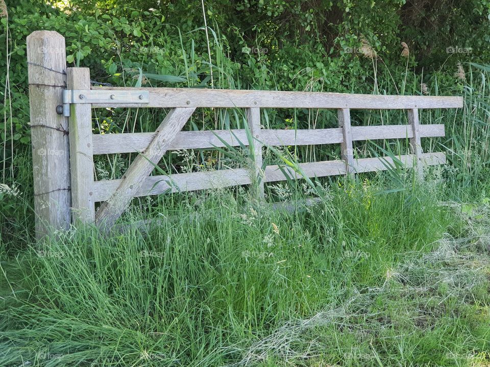 Bretterzaun einer Wiese