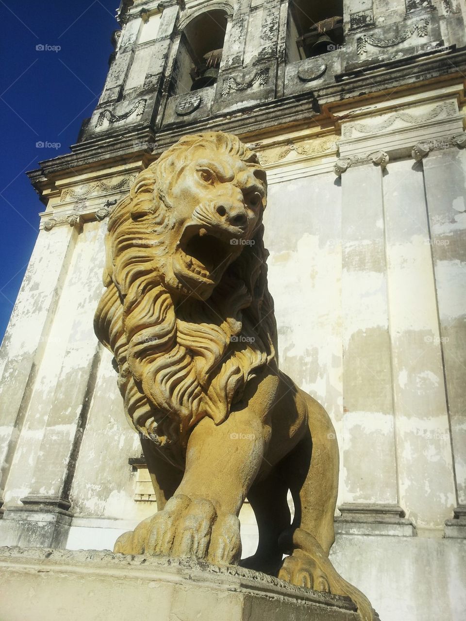 Lion of León