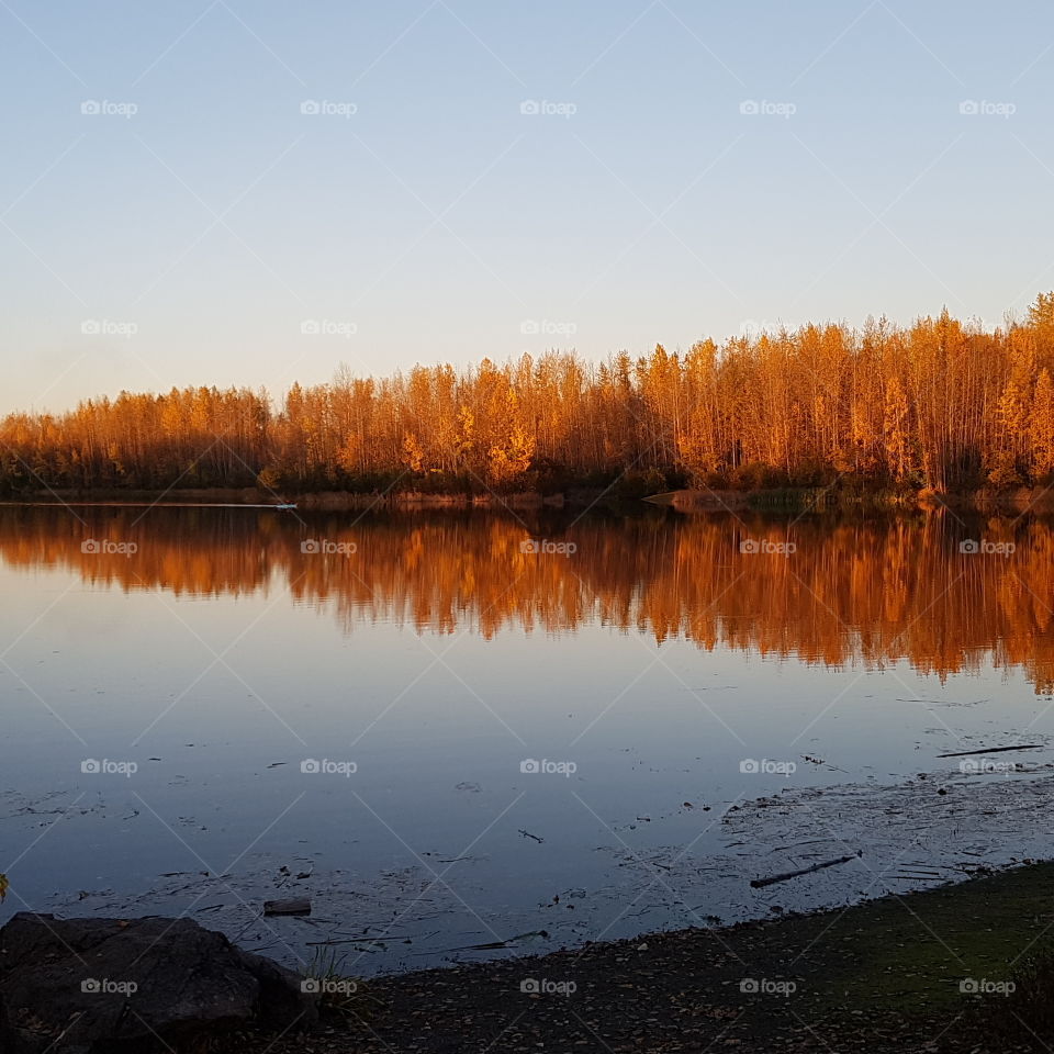 Reflection, Lake, Water, Fall, Landscape