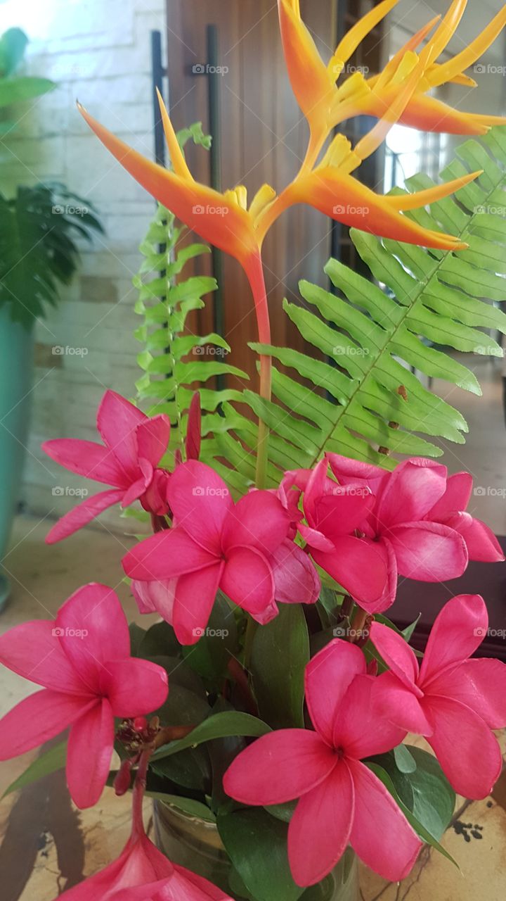Happy and Exotic flower arrangement bouquet of bright tropical plants and leaves in in Mexico, including Plumeria flowers, birds of paradise, and tropical fern leaves, in a vase display