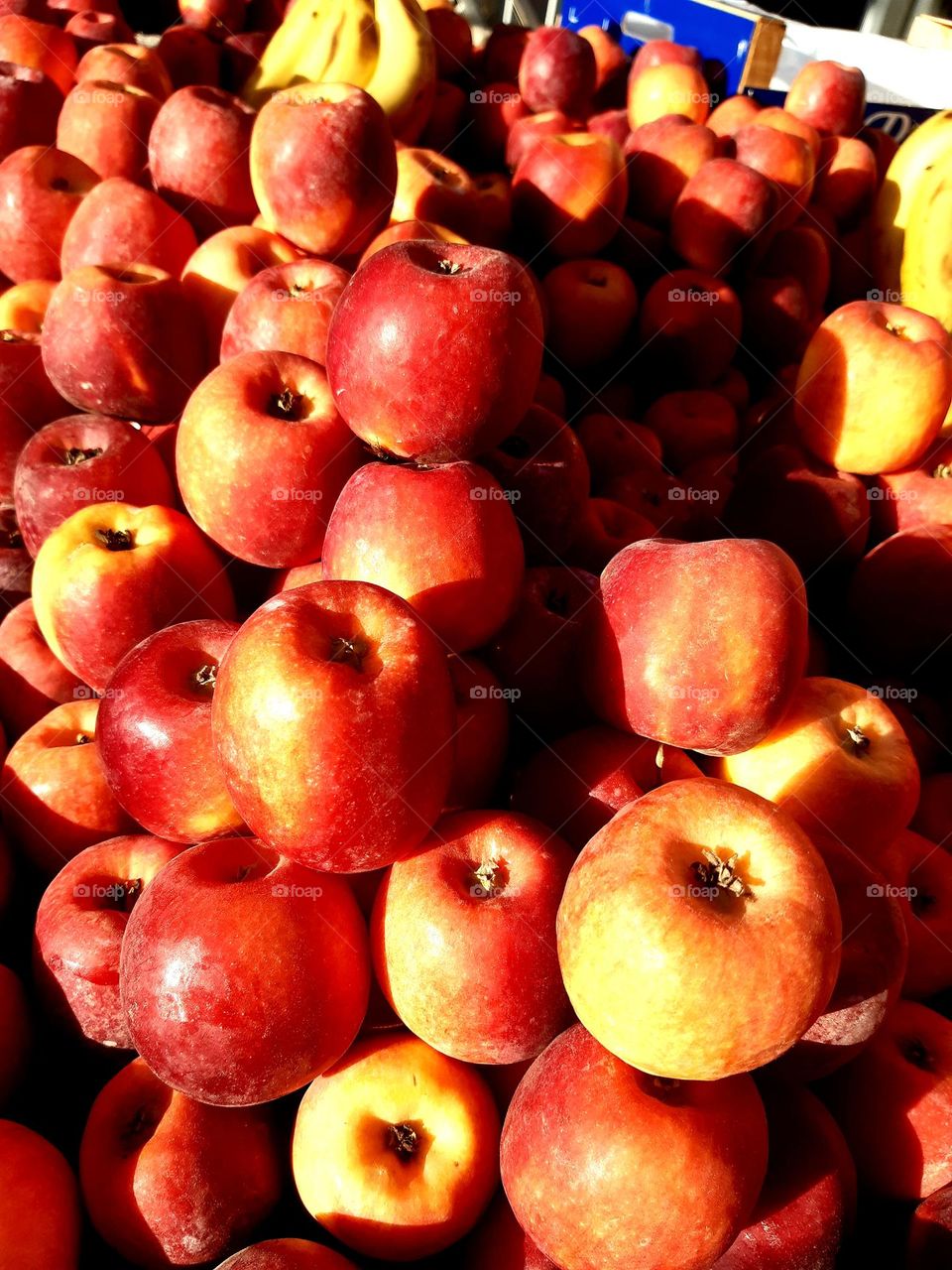 Fresh red apples stacked in a Marrakech market under sunlight, with glimpses of bananas in the background. The photo was taken on February 8, 2025.