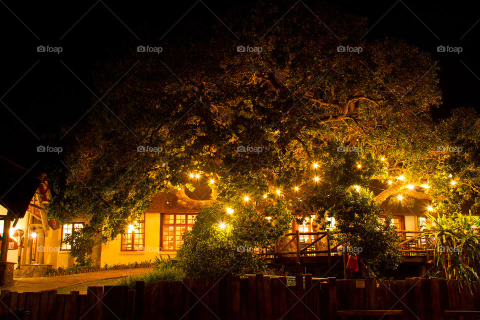 Beautiful night at the wild coast in South Africa! Long exposure image at night with large tree with lights and a building in the background