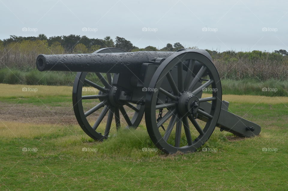 Cannon