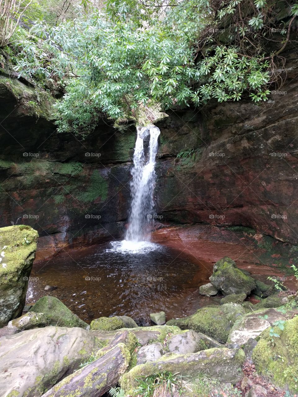 Peaceful Glade Waterfall