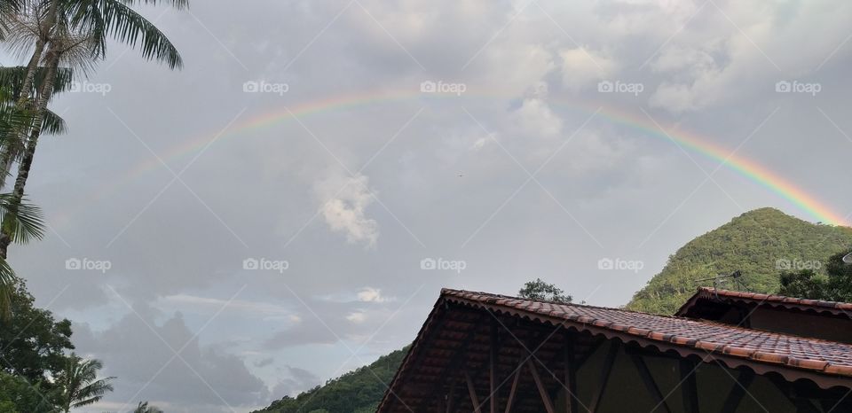 NATURE'S, HOUSE, ENVIRONMENT.