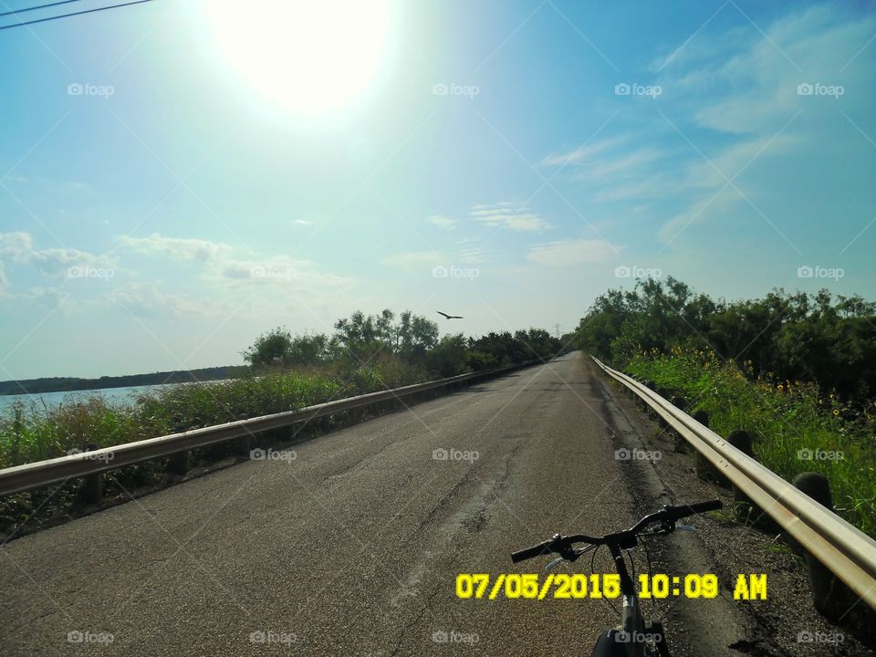 Graham Texas Lake. This is a picture of the damn at Graham Texas Lake I saw this vulture and took a picture