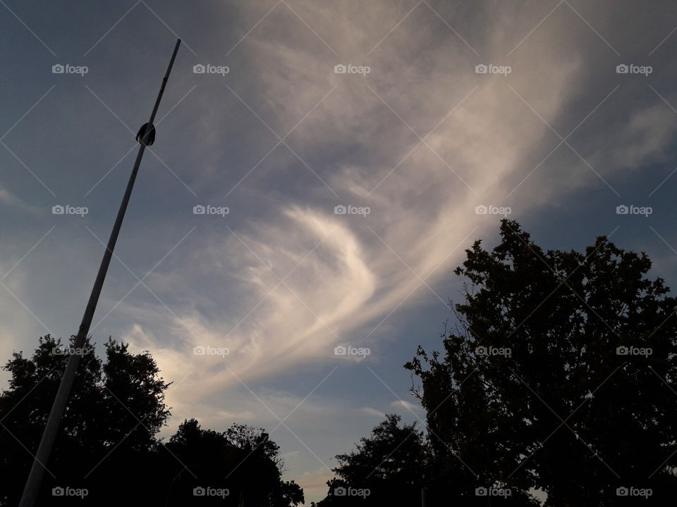 cloud in the shape of a feather🥰