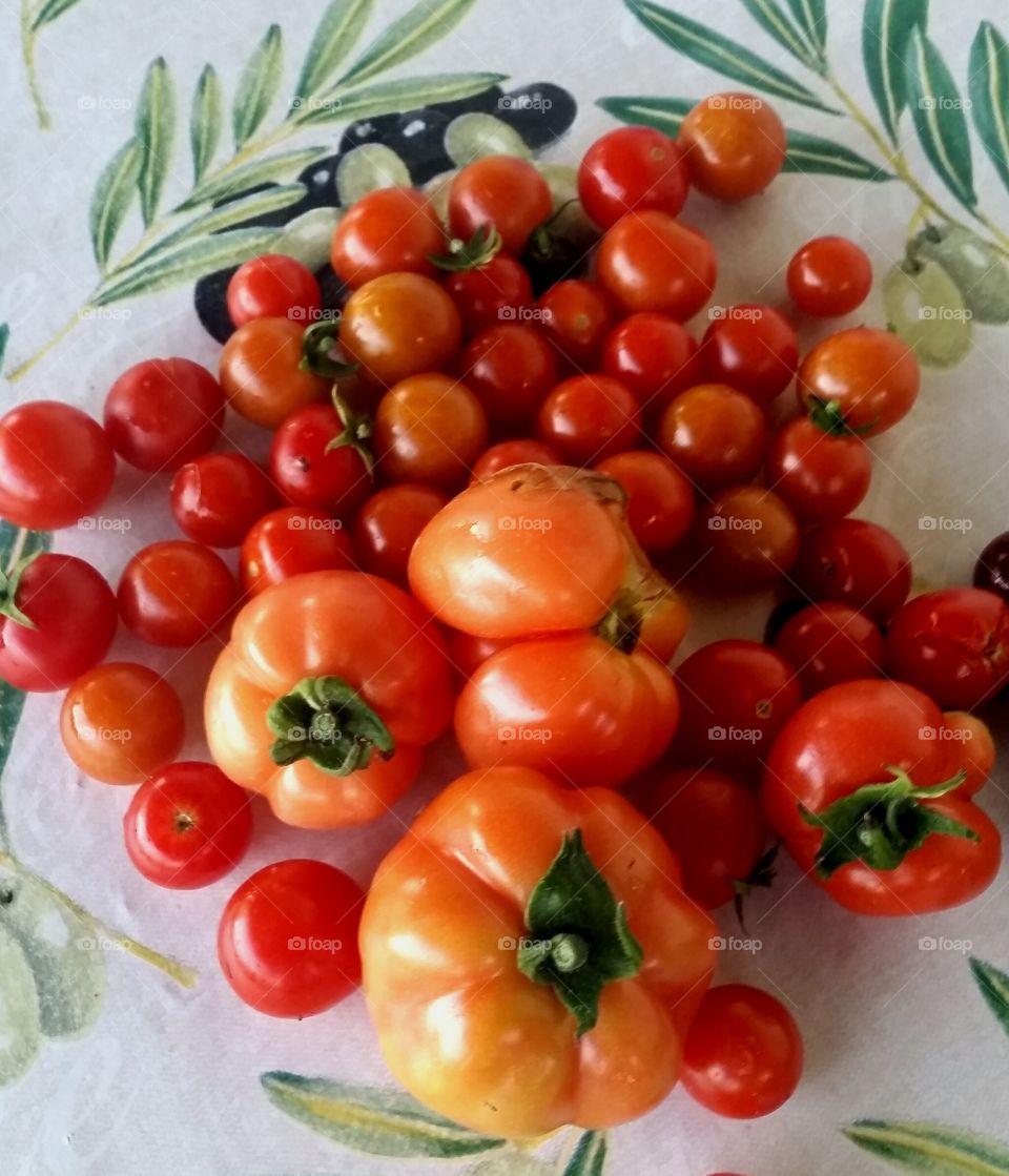 Ecological tomatoes from the garden.
