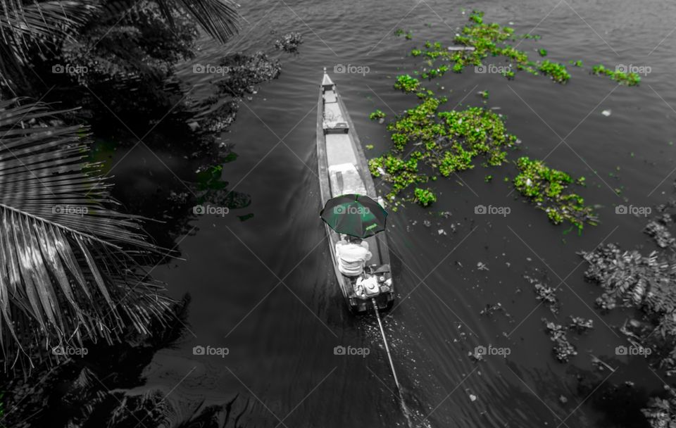 splash of green in monochrome landscape..both complement each other