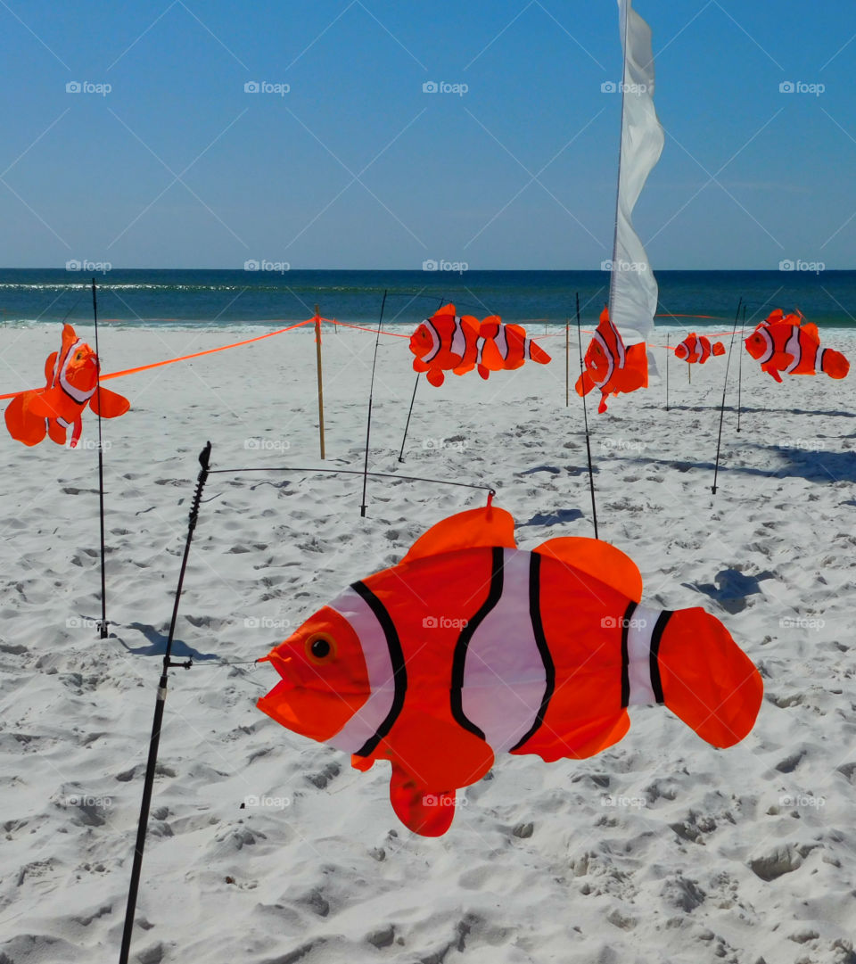 Kite Festival by the sandy beach in front of the Gulf of Mexico!
