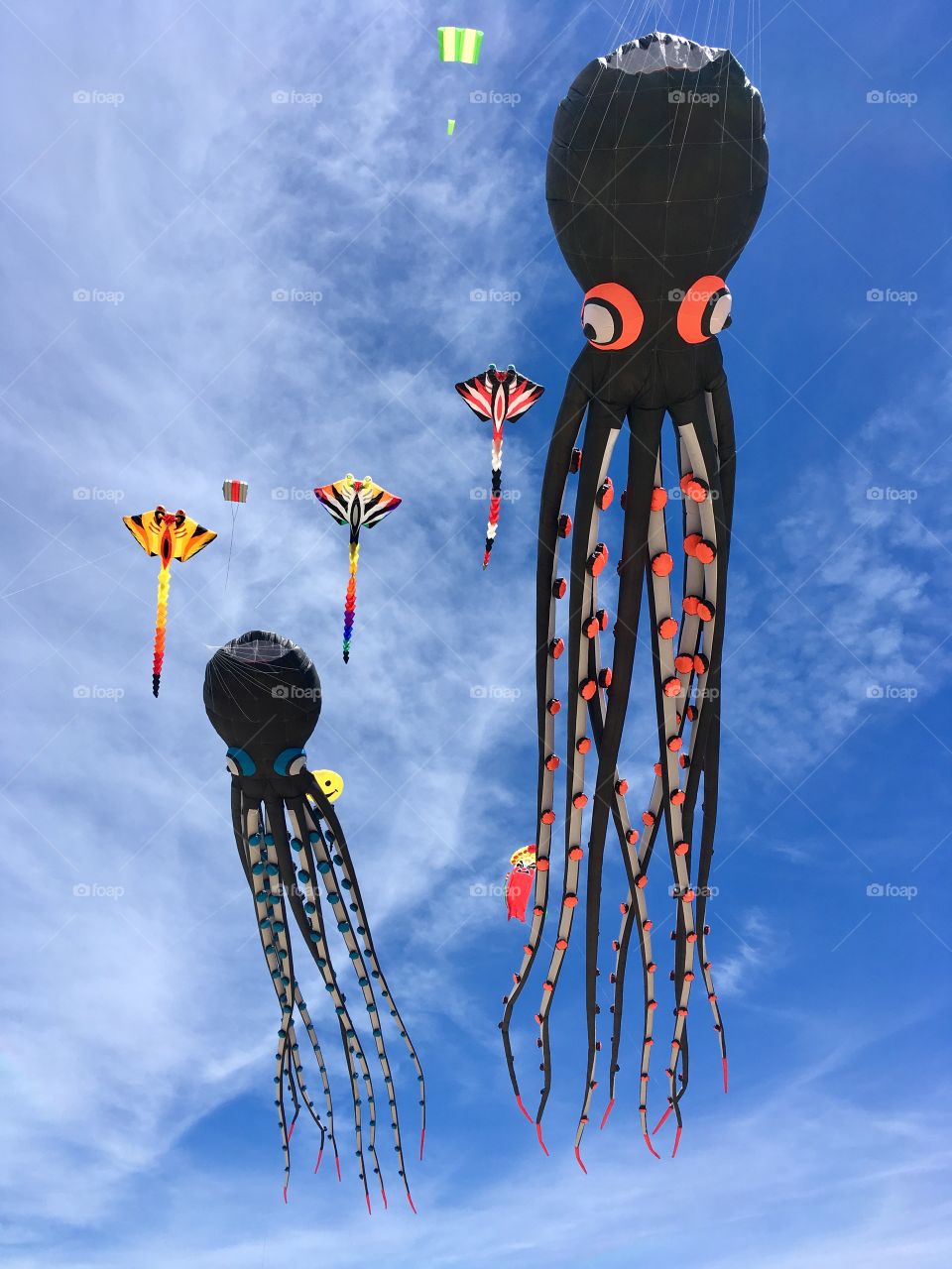 Colourful Kites in the Sky 