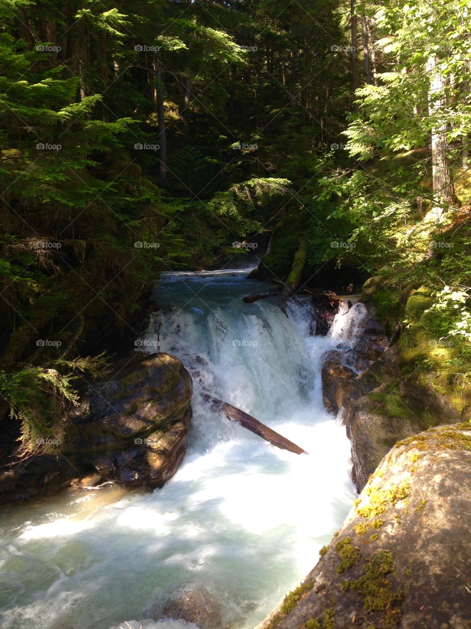 Free campsite led me to Begbie Falls