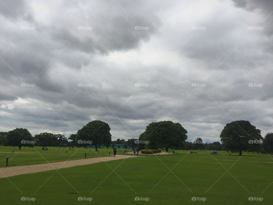 Golf, No Person, Grass, Landscape, Tree