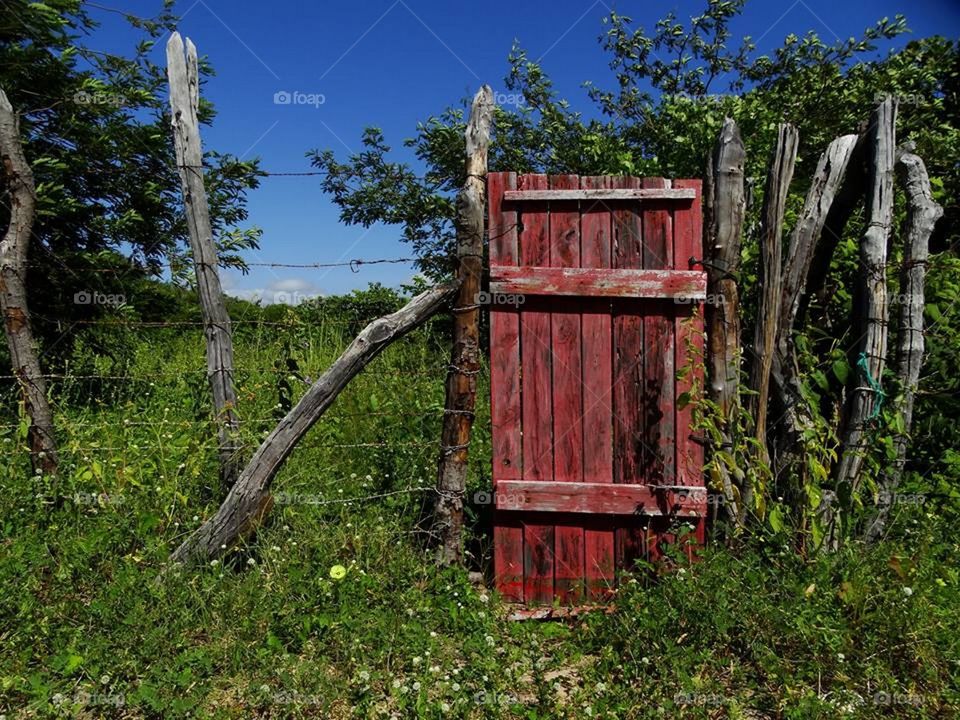 A door to paradise. A door in the country side