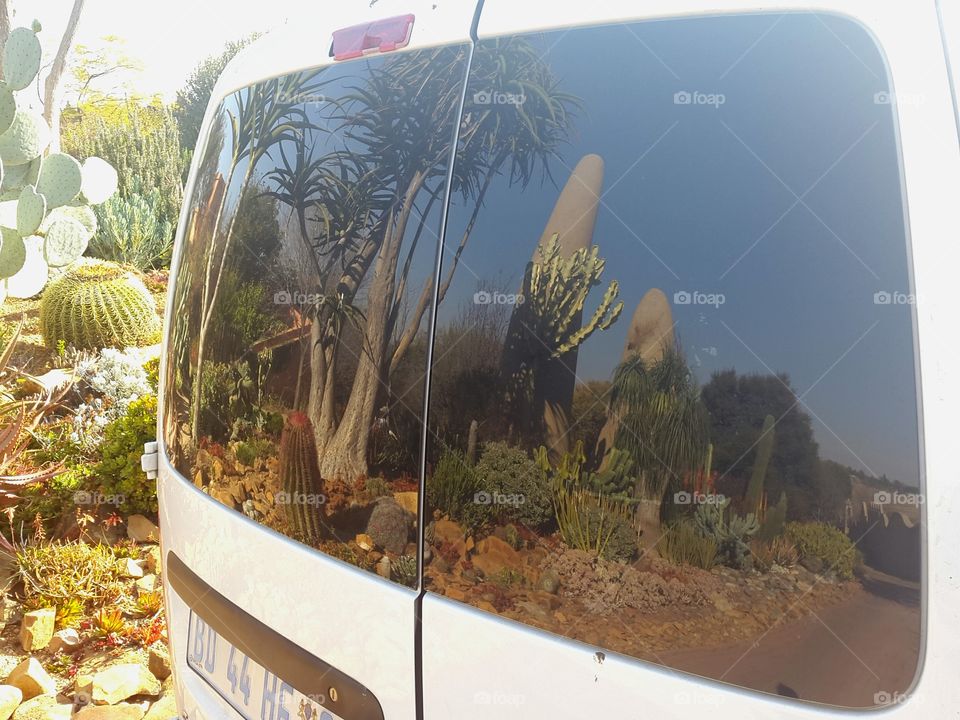 One of my favourite places to be at work when needing a break . Caught our cactus garden beautifully reflecting on our work vehicle as we exit the property