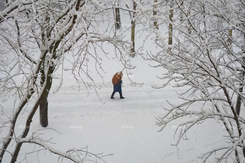winter snowy nature and person walking with umbrella